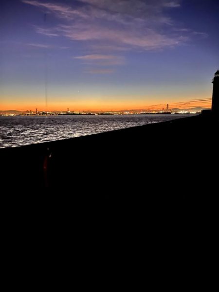 サゴシ祭は終盤なのか。