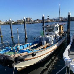 今期初カワハギ