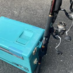 初経験と感謝の日