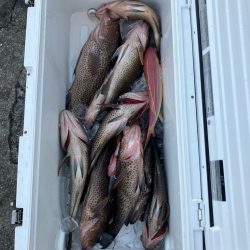 ボートエギングなど