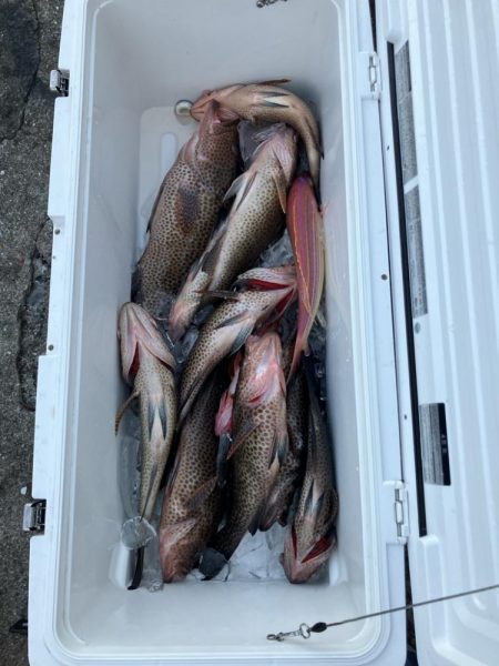 ボートエギングなど