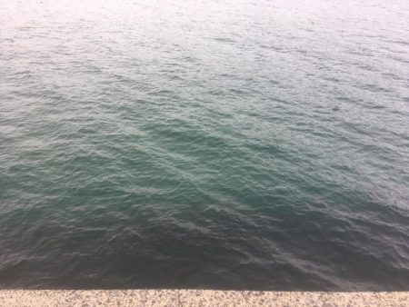 初めてのマゴチ