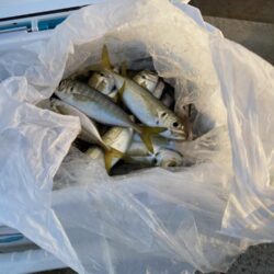 カワハギ&アジ一束釣り