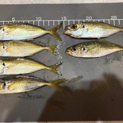 攻め過ぎました。