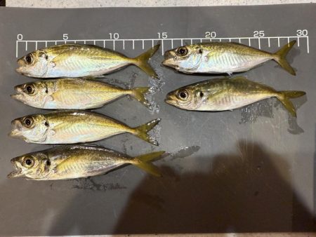 攻め過ぎました。