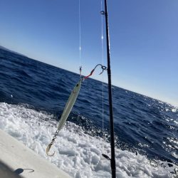 LJでホウキハタ連チャン!