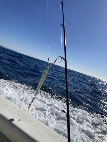 LJでホウキハタ連チャン!