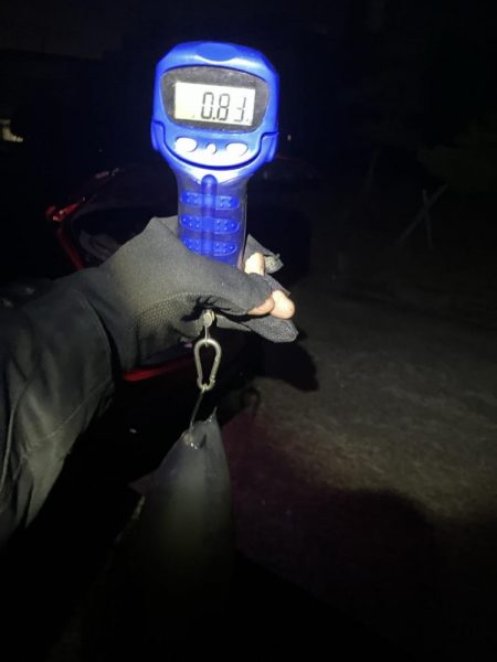 秋🦑　終盤？何とかアオリ🦑釣れた😊