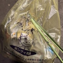 こんなはずではー