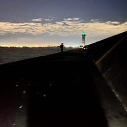 バラしまくったけど