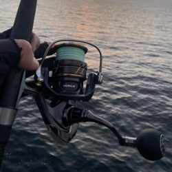 鰤、サワラ探し