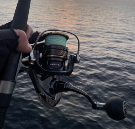 鰤、サワラ探し