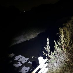 ピカチュウフィッシング