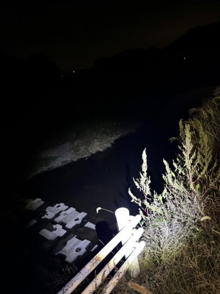 ピカチュウフィッシング