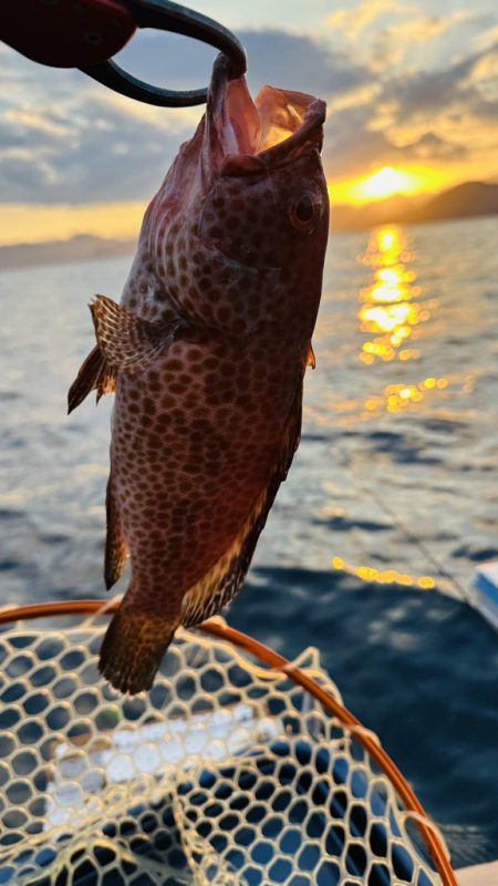 久しぶりの紀北ボート釣行