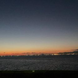 三連休最終サゴシ狩り