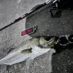 激シブでもボトルは何とかなる！