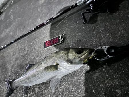 激シブでもボトルは何とかなる！