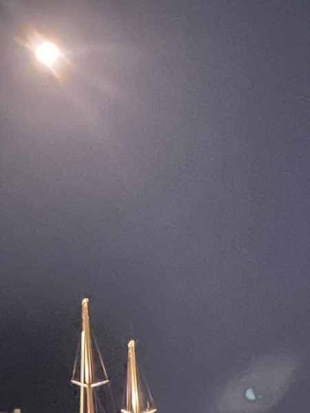 ジグ単de~アジング！これからやのに