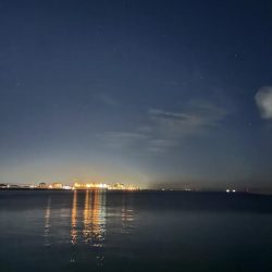 30分のフィーバータイム！