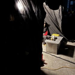 2日連続アジング。