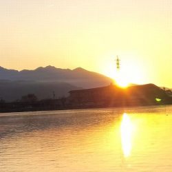 諏訪湖ワカサギ釣り！