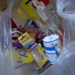 清掃活動：初の家族でのライトジギング