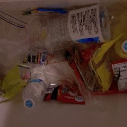 清掃活動：今季最後のライトジギング