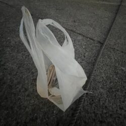 清掃活動：日没だけ