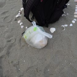 清掃活動：落ちギス釣り　群れは小さい