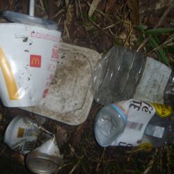 清掃活動：11月バス