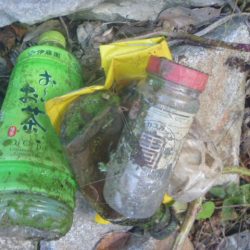 清掃活動：紅葉バス