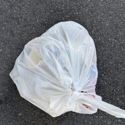 清掃活動：デカアジ、サワラに楽しめました