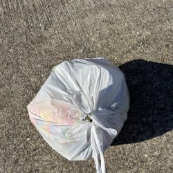 清掃活動：デカアジ釣れてます