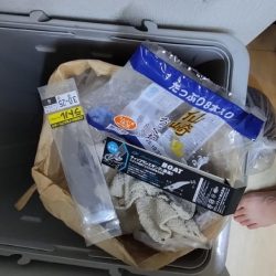 清掃活動：ティップラン終盤戦