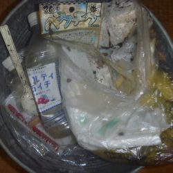 清掃活動：１１月１３日　一庫ダム釣行