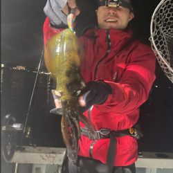 ティップラン終盤戦