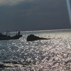 和歌山市江（吉丸渡船）でグレ釣り