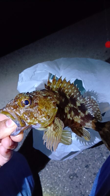 夕暮れ〜穴釣りとフカセ釣り