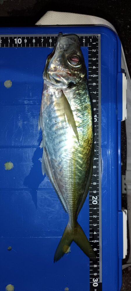 全然ダメでした