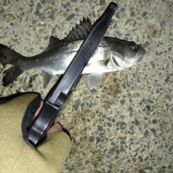 嫌な予感がする…