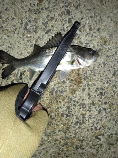 嫌な予感がする…