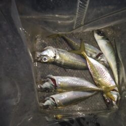 こんなの初めて…