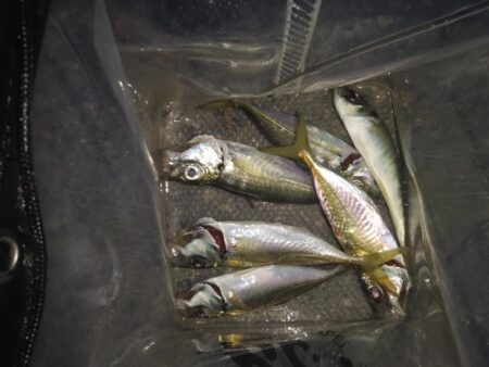 こんなの初めて…