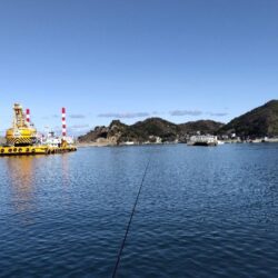 久々でしたがダメでした。