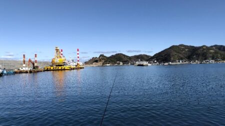 久々でしたがダメでした。