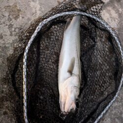 超デッドスロー