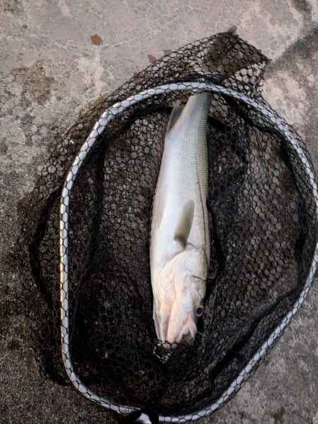 超デッドスロー