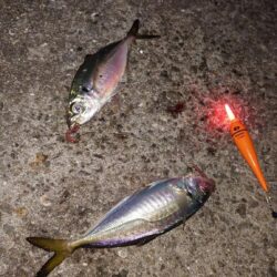 電気ウキ釣り 18