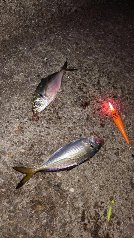 電気ウキ釣り 18